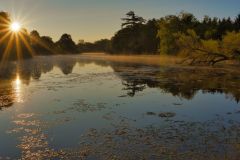 Mill Pond Sunrise