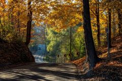 Fall in Hamilton Escarpment