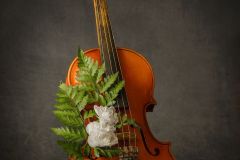 Violin Remembrance