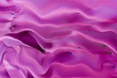 Pink Palouse