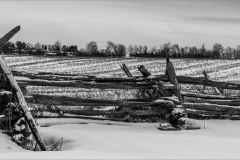 Winter Scene