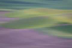 Palouse View