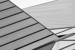 The Shapes of the ROM