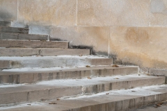 Weathered Beauty - Parkwood Historic Site