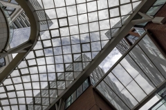 Glass Ceiling