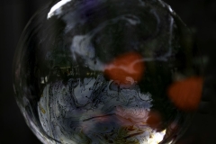 Microcosm in A Bubble