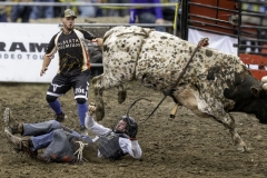 The Dangers of Bull Riding