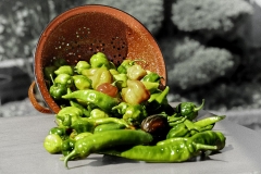 Hot Peppers Aplenty