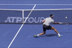 At the Net