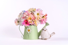 Joy of Coloured Daisies