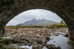 The Mountain Stream