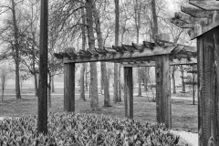 Bark and Wood Textures
