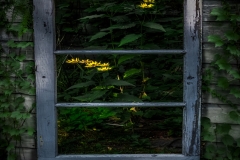 Scene through a Window