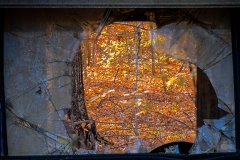 The Rear View