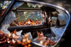 Through the Windows