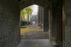 Hallway to Fall