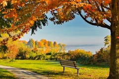 Foggy Fall Morning