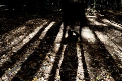 Shadowed Frame