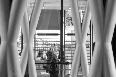 Framed by Design