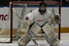 In the Crease