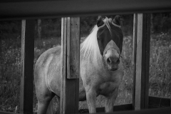 Confined