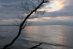Dramatic Sky