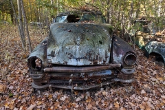 Chrysler in the Woods