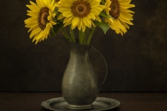 Sunshine you can Hold