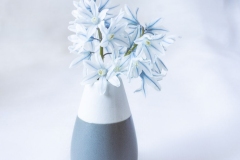 Portrait of Spring Scilla