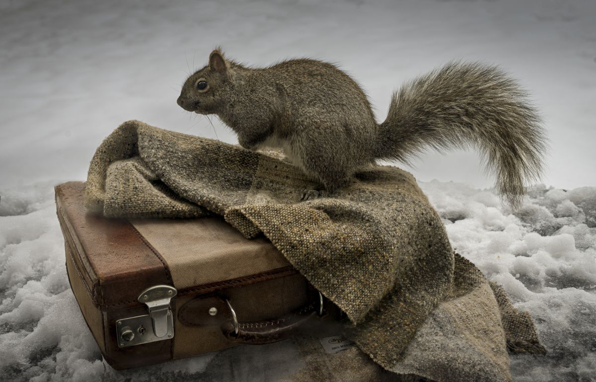Keep An Eye Out for This Fashion Forward Critter