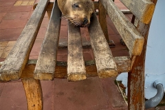 Find Your Own Bench