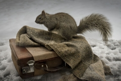 Keep An Eye Out for This Fashion Forward Critter