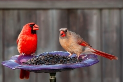 Cardinal Pair