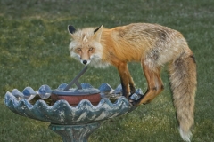Time for a Drink