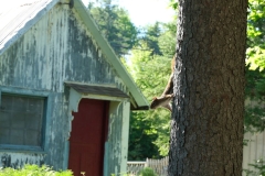 Squirrel 2