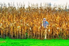 Back from the Field of Dreams