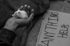 Compassion in Hardship