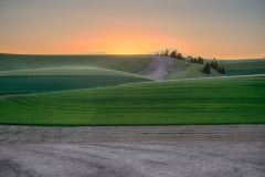 Farm Fields Sunset