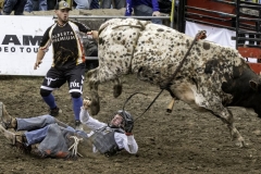 Bull Rider's Worst Nightmare