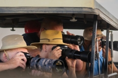Showtime at Ol Pejeta