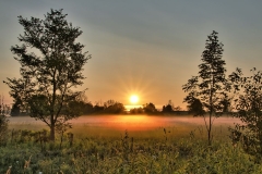 Suns Light on Field Fog