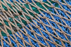 Blue Green and Gold