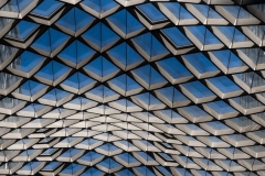 The Dance of Light and Structure
