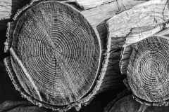 Old Woodpile at the Farm