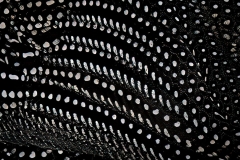 Guinea Fowl Abstract