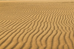 Lines on the Beach