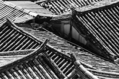 Roof Tops