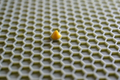 Honeycomb