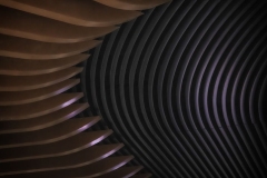 The Black Hole