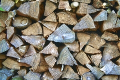 Woodpile in Waiting